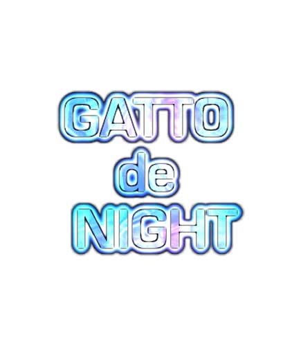 GATTO de NIGHT♪