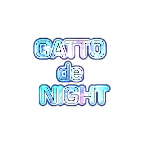 GATTO de NIGHT♪